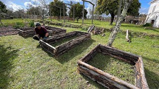 Building RUSTIC Raised Beds from Fallen Pine Trees - #5