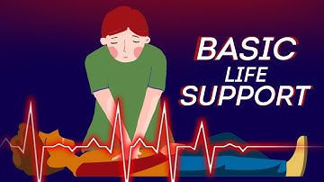 How to Perform Basic Life Support CPR - First Aid
