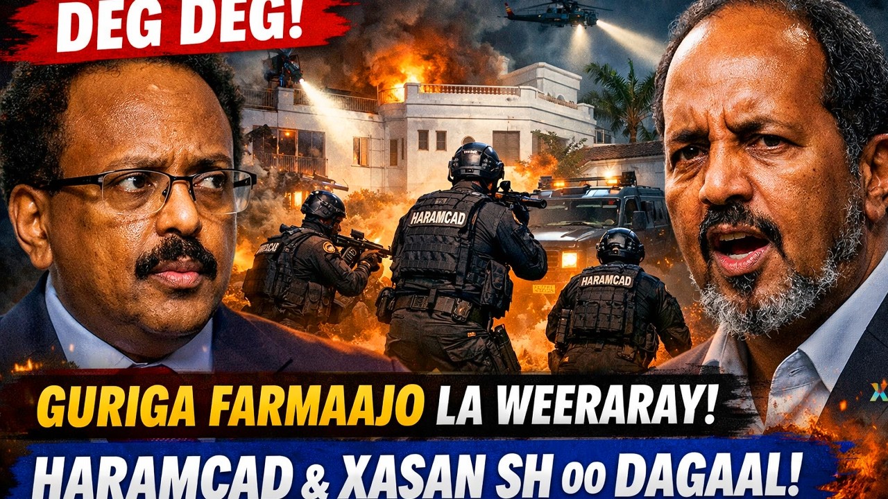 DEG DEG Guriga Farmajo oo caawa la weeraray, Haramcad oo la duldhigay Iyo XASAN SH oo...