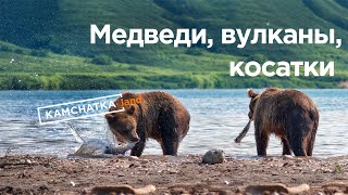 Тур Медведи, вулканы, косатки - три дня на Курильском озере на Камчатке