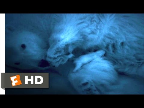 Arctic Tale (10/10) Movie CLIP - Newborn Polar Bear (2007) HD