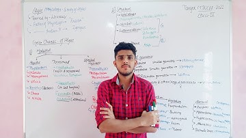 Algae (Habitat, Structure & Reproduction)  Lecture-4  #mducee2023 #mducee