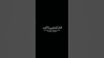 فادعوا الله مخلصين له الدين ~كروما شاشة سوداء بصوت الشيخ #أحمد_النفيس#سورة_غافر#قرآن #اكسبلور#لايك