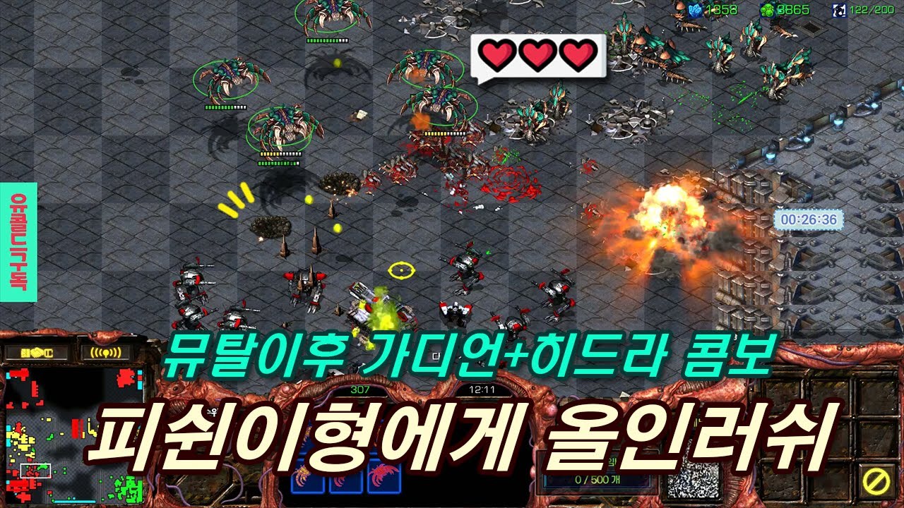 가장 존경하는 BJ를 만났습니다. 4-0패 느낌부터 다르다! #빨무 #스타래프트 #빠른무한live #빠른무한 #인피쉰