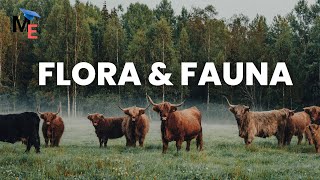 Flora Fauna Itu Nggak Sembarangan Nyebar Ini Alasannya  Geografi