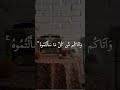 وسخر لكم الشمس والقمر دائبين وسخر لكم الليل والنهار سورة إبراهيم سيد سعيد Quran 