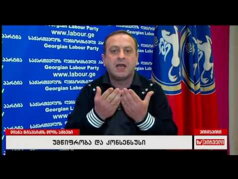 გიორგი გუგავა საკონსტიტუციო ცვლილებებზე -ეს არის ივანიშვილის წესდება, შპს-ს წესდება. \"დღის ამბები\"