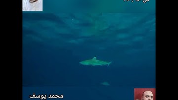 سورة الانعام من الاية ١٤٠ : ١٦٥ (اخر السورة )برواية حفص عن عاصم بقصر المنفصل