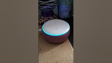 Alexa, Change Your Voice & Make Your Wake Word Ziggy