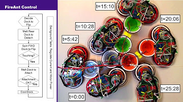 FireAnt: A Modular Robot with Full-Body Continuous Docks
