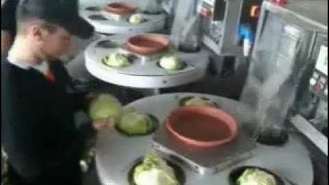 VePack 200-PHH Horizontal Infeed