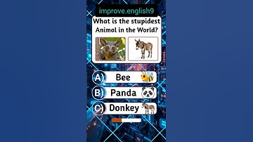 general knowledge quiz #quiz #quiztime #quizchallenge #quizgame #quizshow #quizzes #quizfun #englih