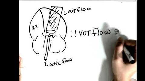 Calculating Aortic Valve Area by Continuity Equation