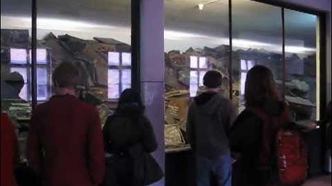 Lessons from Auschwitz