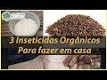 3 inseticidas orgânicos