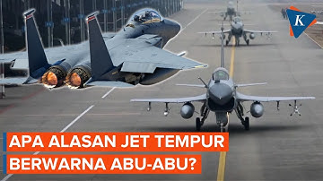 Bukan Sekadar Cat, Mengapa Jet Tempur Berwarna Abu-abu?