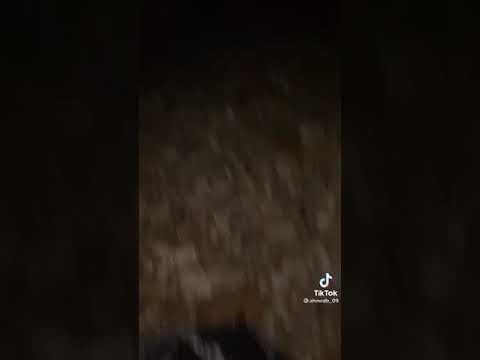 شاهد لحضة خروج قارب فانتوم من اسبانياااا متجهااا نحواا الجزائر ولاية مستغانم تابعوني لكل جديد