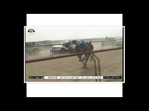 سلام شوميله سلام سلام الخليفي سلام