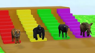 Paint Animals Gorilla Cow Tiger Lion Elephant Fountain Crossing Animal Game