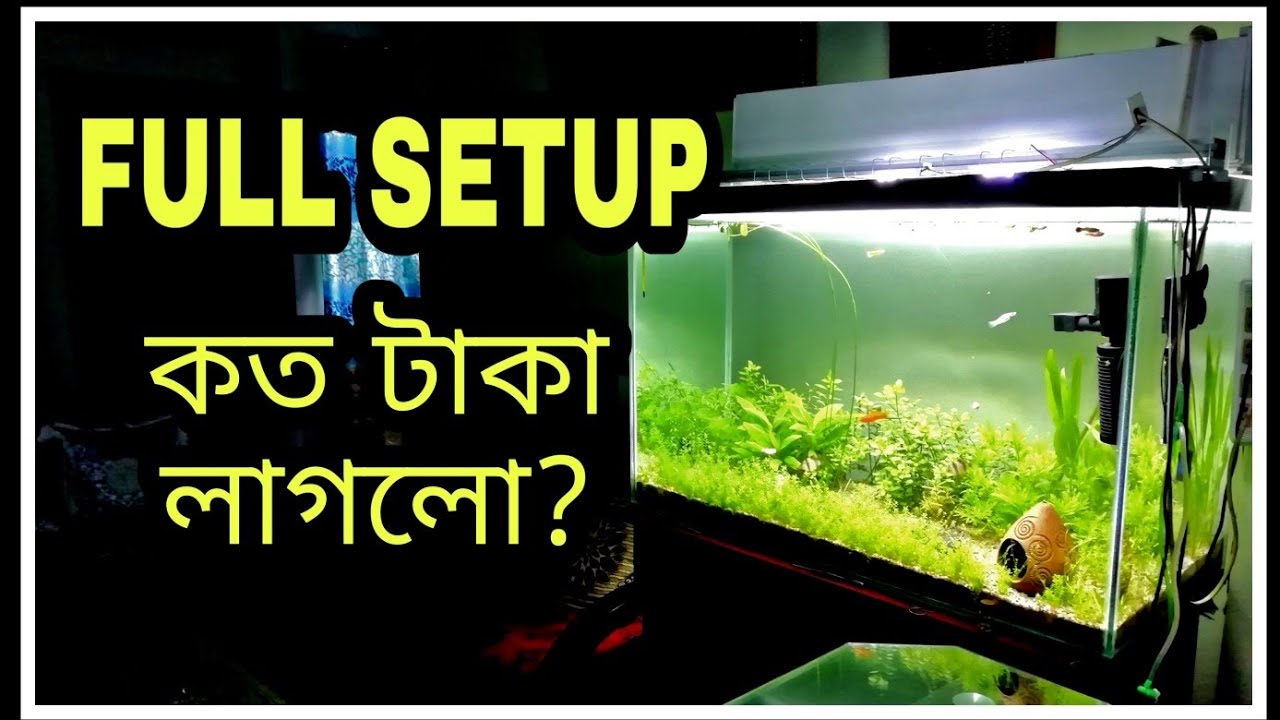 My Full Planted Aquarium Setup Cost YouTube