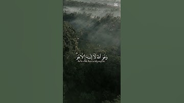 #القارئ_ياسر_الدوسري #القرآن_الكريم #المصحف #اكسبلور #لايك #دويتو #راحة_نفسية