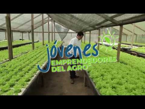 Jóvenes Emprendedores del Agro - Danilo Mondaca