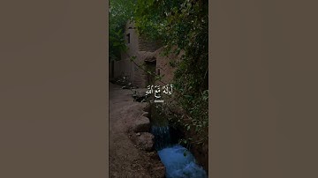 أَمَّن جَعَلَ ٱلْأَرْضَ قَرَارًا #سورة_النمل #quran #viral #video #ياسر_الدوسري #قران_كريم #صدقه