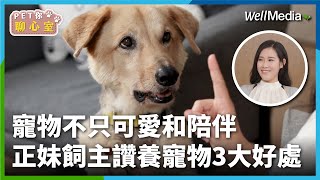 寵物療癒不只可愛和陪伴正妹飼主現身分享 大讚養寵物3大好處和心境轉變【PET你聊心室】EP1 影音記者 君瑭 (上集)  WellMedia