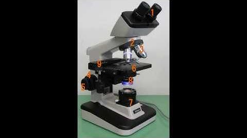 Objects under electronic microscope! (part 2)