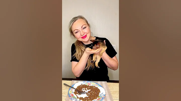 The kitten is so cute 🥰🥰 #viral