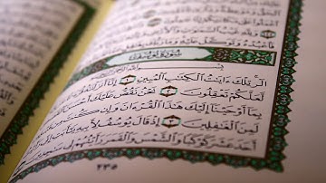 سورة الذاريات  -   القارئ نبيل الرفاعي