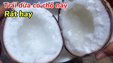 Trái dừa có điểm này rất hay, “Chạm Vào” là tách ra làm 2 đều bân, lấy cơm dừa rất dễ
