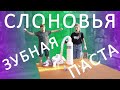 СЛОНОВЬЯ зубная паста | ОПАСНО ДЛЯ ЖИЗНИ