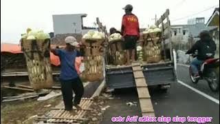 DJ sia sia bass glerr cruw boss gaul A2TEX