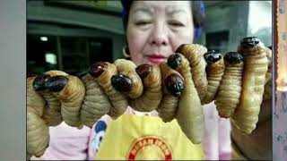 Wooow...check Out These Trending Akkono Delicacies