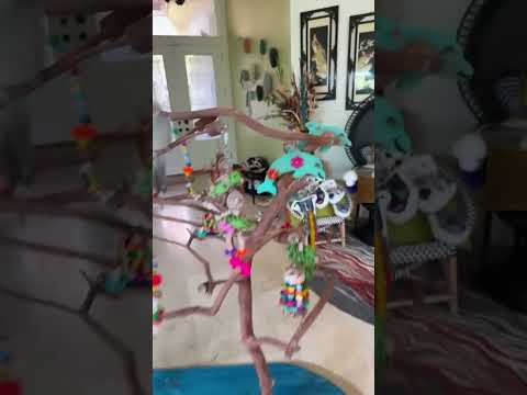 Bretman Rock Stories, August 7, 2026