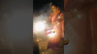 ఈ దీపావళి కి ఒక డిఫెక్ట్ వచ్చింది తెలుసా# mini vlog #shortvideos #festival time