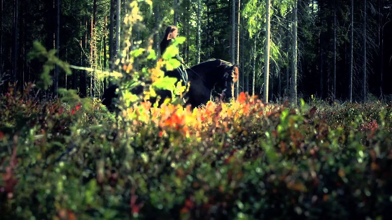 Watch John Moose - Flower on YouTube Watch John Moose - Flower on YouTube