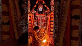 Shree Venkatesha Mangalashasanam 🙏✨ | Divine Blessings from Tirumala 🔔🔥 #Shorts