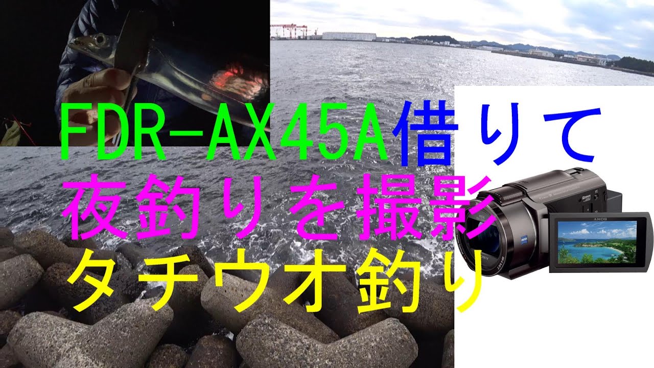 横須賀方面タチウオ夜釣り（陸っぱり）ｿﾆｰﾋﾞﾃﾞｵｶﾒﾗFDR-AX45A夜釣り時の