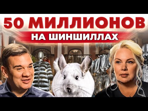 Видео: Меховое золото! Прибыльный бизнес на шиншиллах. Шуба из меха. Разведение грызунов. Андрей Даниленко