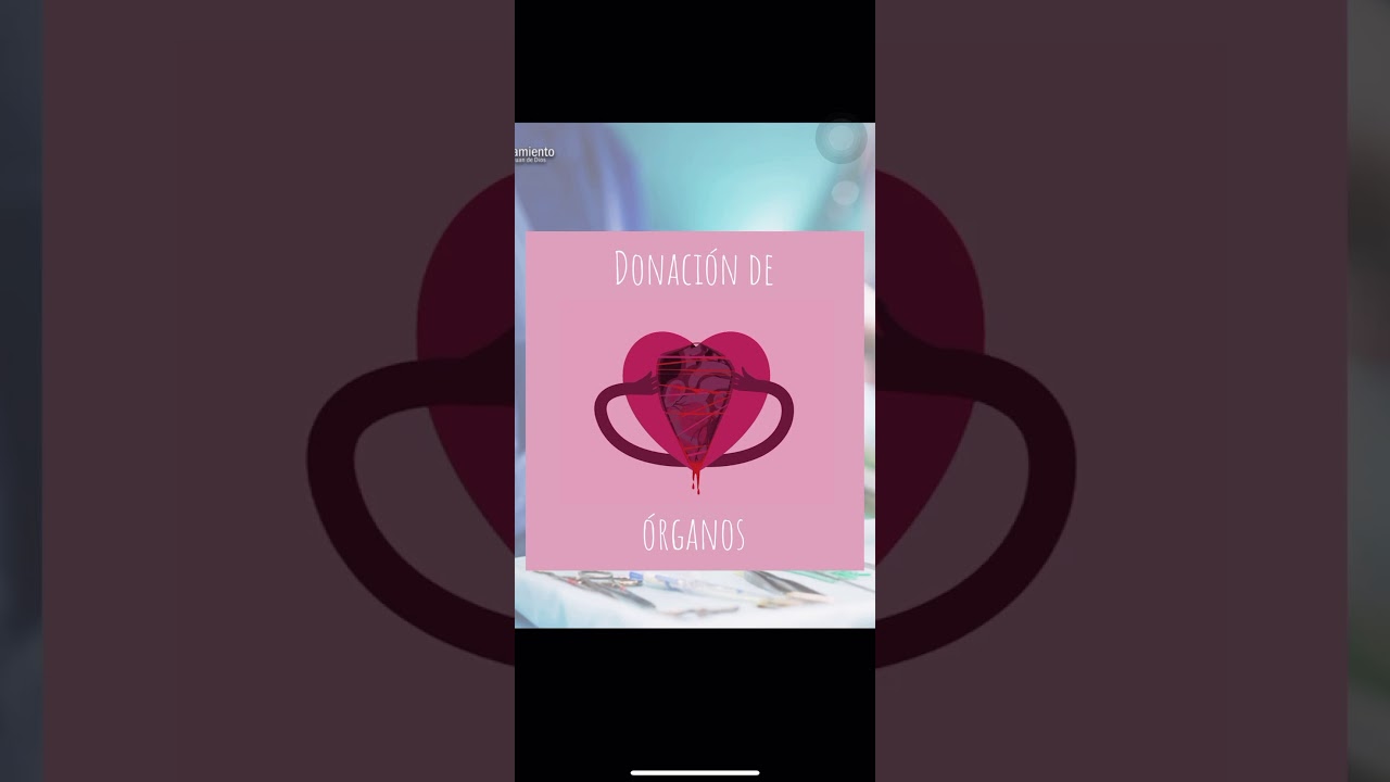 16 de octubre de 2019 video editing software free