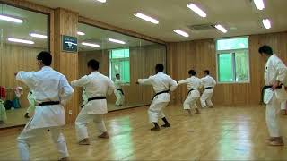 JKA KIHON TECHNIQUES