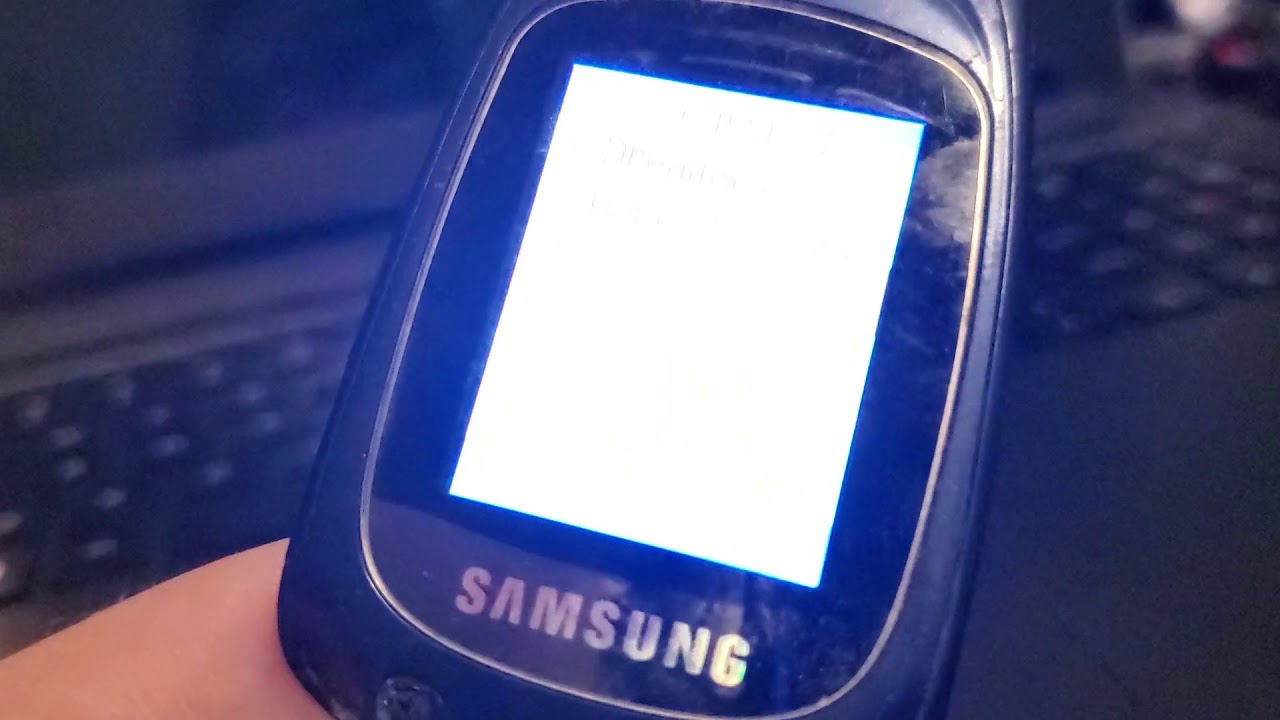 Samsung E335 ringtones