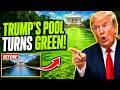 Washington's Iconic Reflecting Pool Swamped by Green Algae After Trump's Pet Project Falters | World