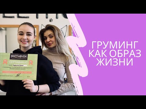 Груминг Как Образ Жизни  Как Открыть Салон Для Животных С Нуля? История Проекта Beethoven