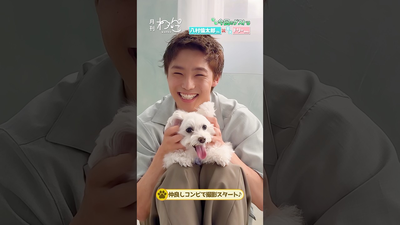 WATWING】八村倫太郎さんと愛犬ドリーちゃんが一年半ぶりに遊びにきて