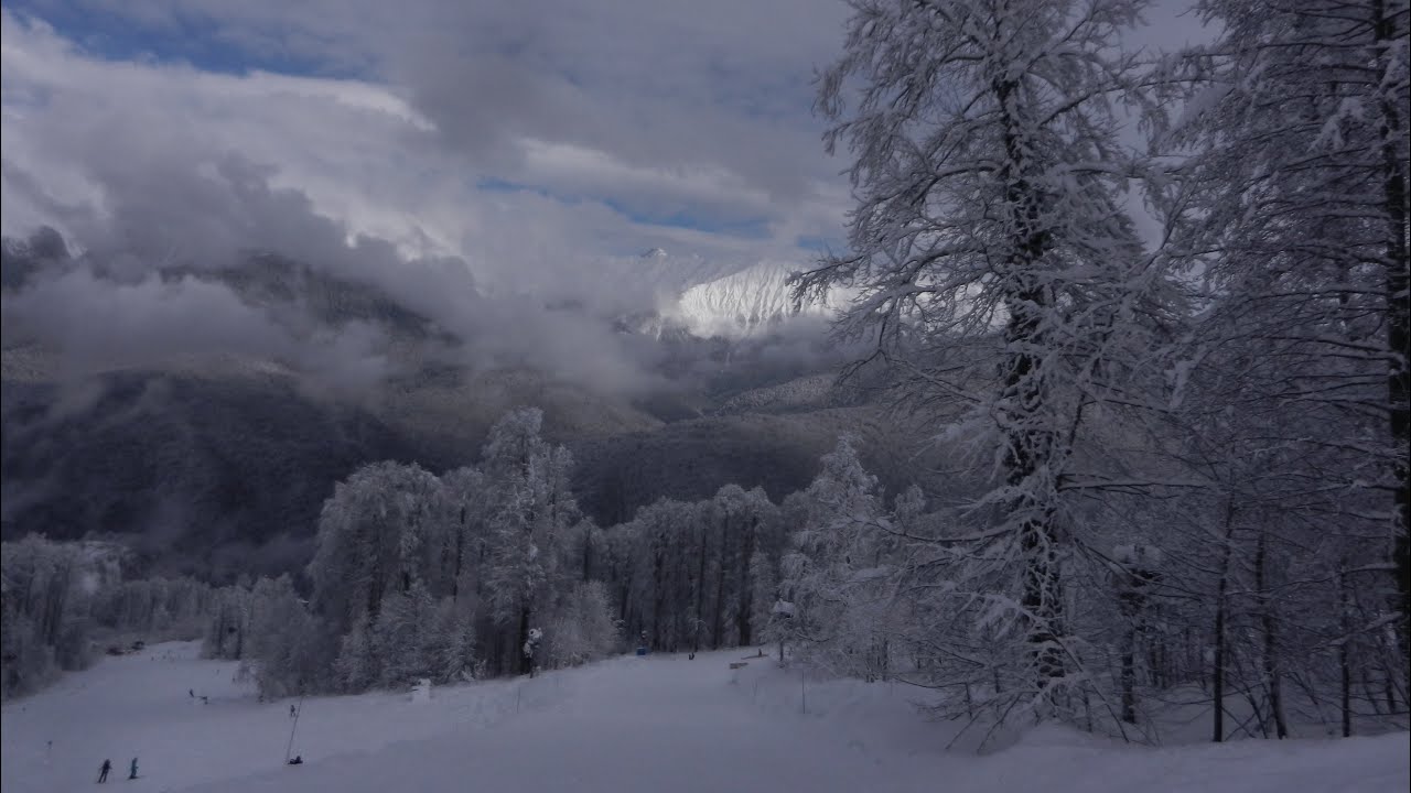 How many times (acoustic) 