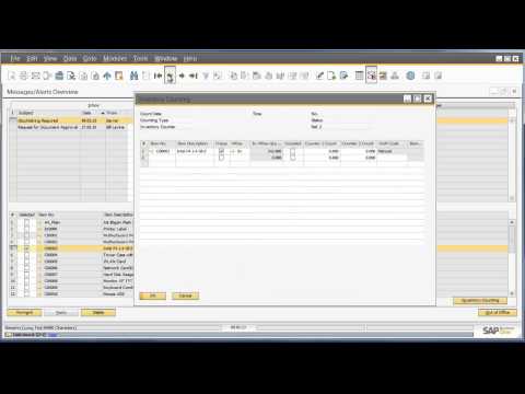 SAP Business One Version 9  Inventory Counting