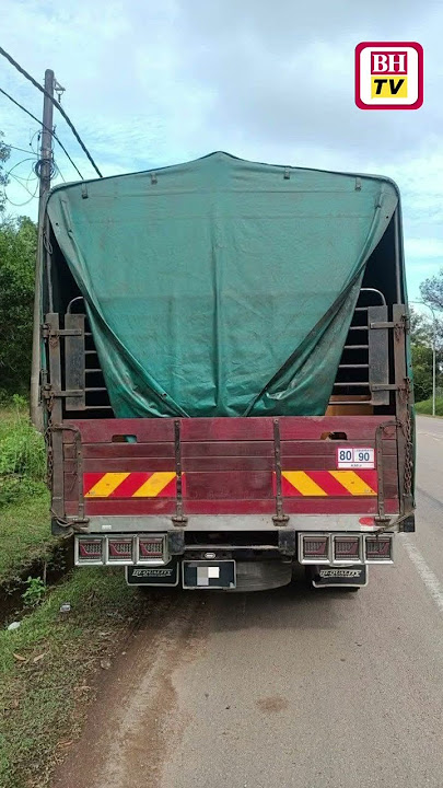 PGA rampas anak pokok diseludup bernilai RM250,000